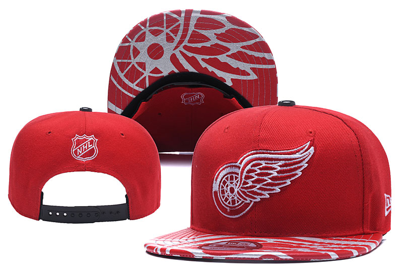 DETROID RED WINGS Hat--YD